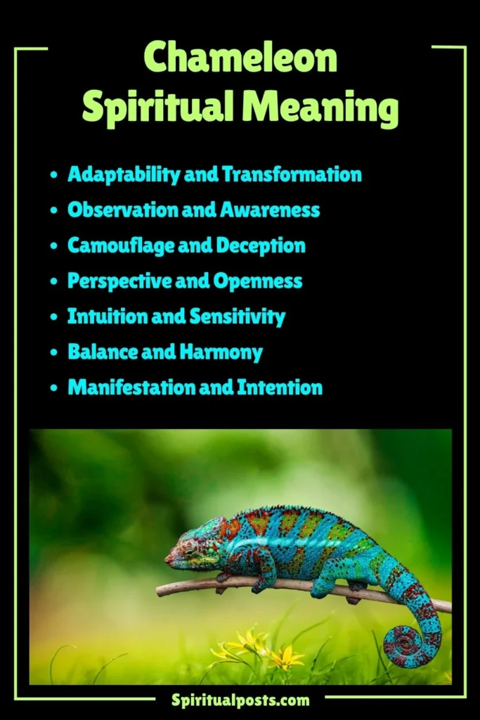 Chameleon Spiritual Meaning, Symbolism and Cultural Significance