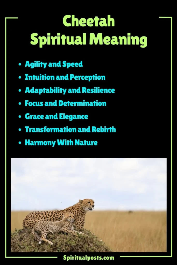Cheetah Spiritual Meaning, Symbolism and Cultural Significance