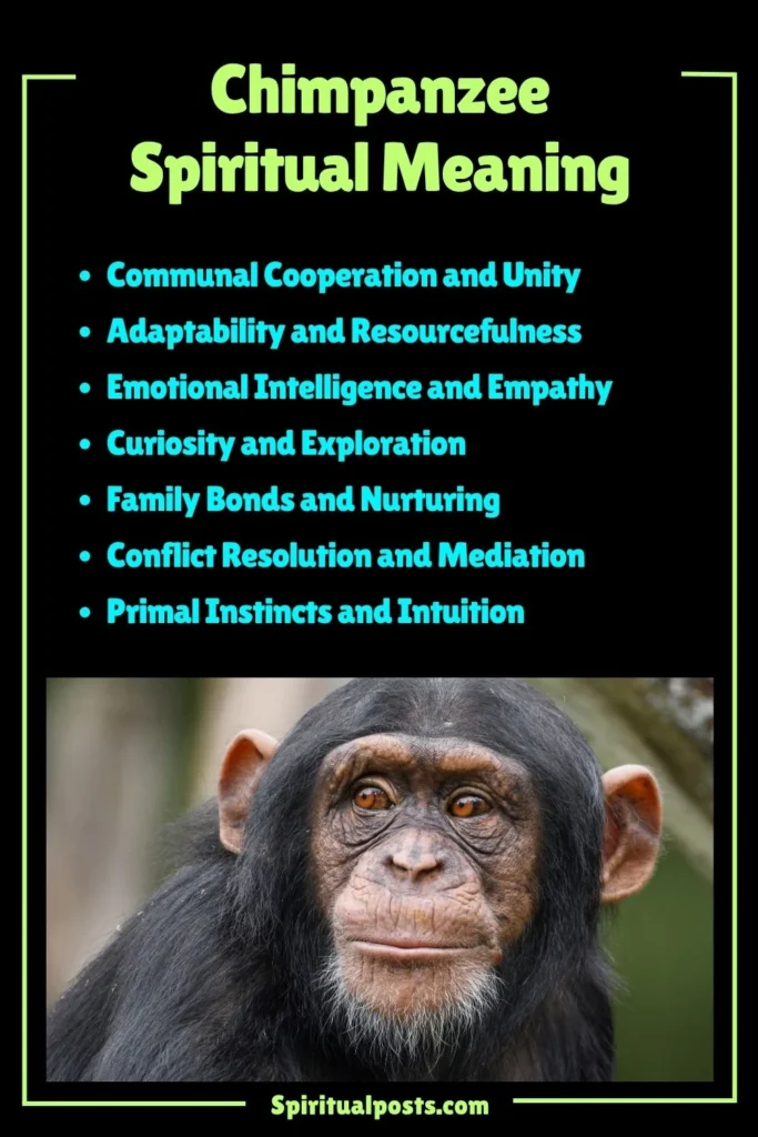 Chimpanzee Spiritual Meaning, Symbolism and Cultural Significance