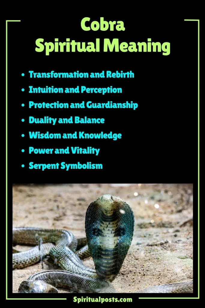 Cobra Spiritual Meaning, Symbolism and Cultural Significance