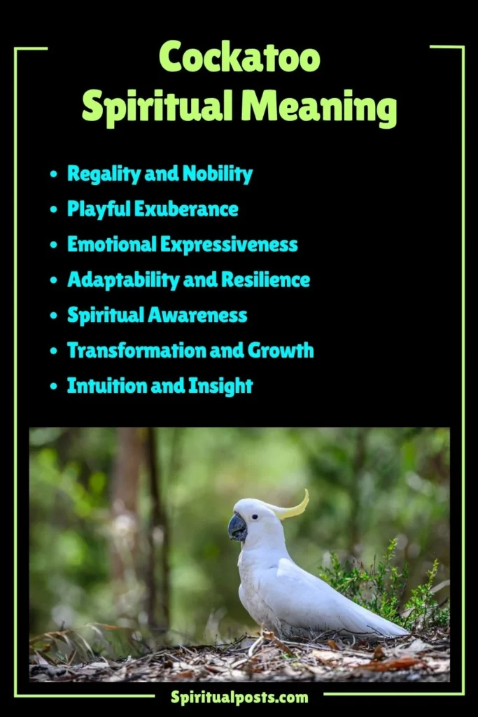 Cockatoo Spiritual Meaning, Symbolism and Cultural Significance