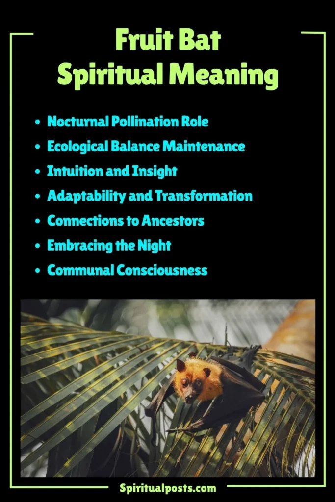 Fruit Bat Spiritual Meaning, Symbolism and Cultural Significance