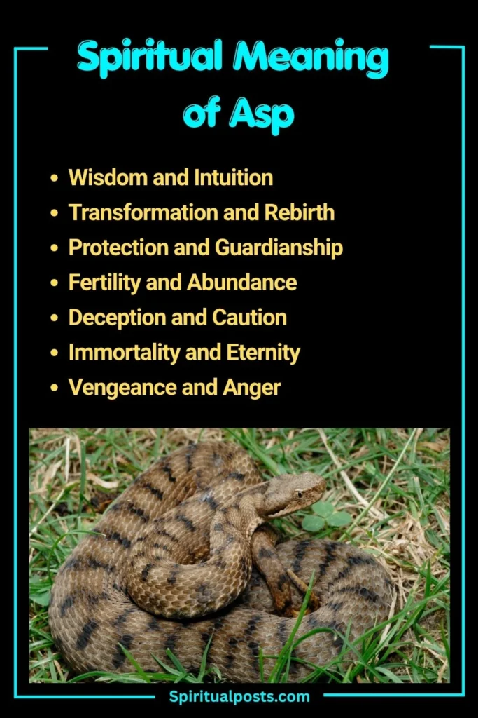 What Does Asp Symbolize Spiritually