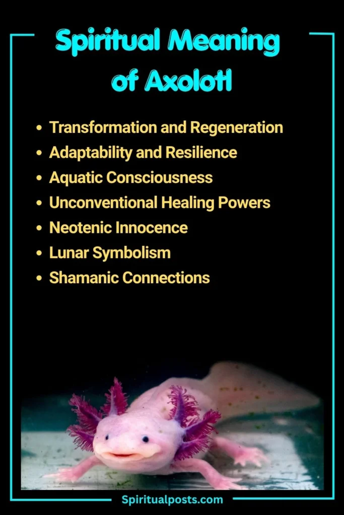 What Does Axolotl Symbolize Spiritually