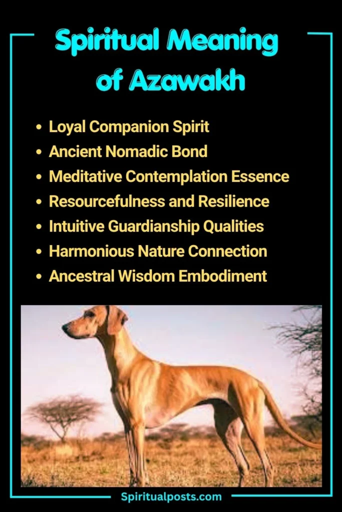 What Does Azawakh Symbolize Spiritually
