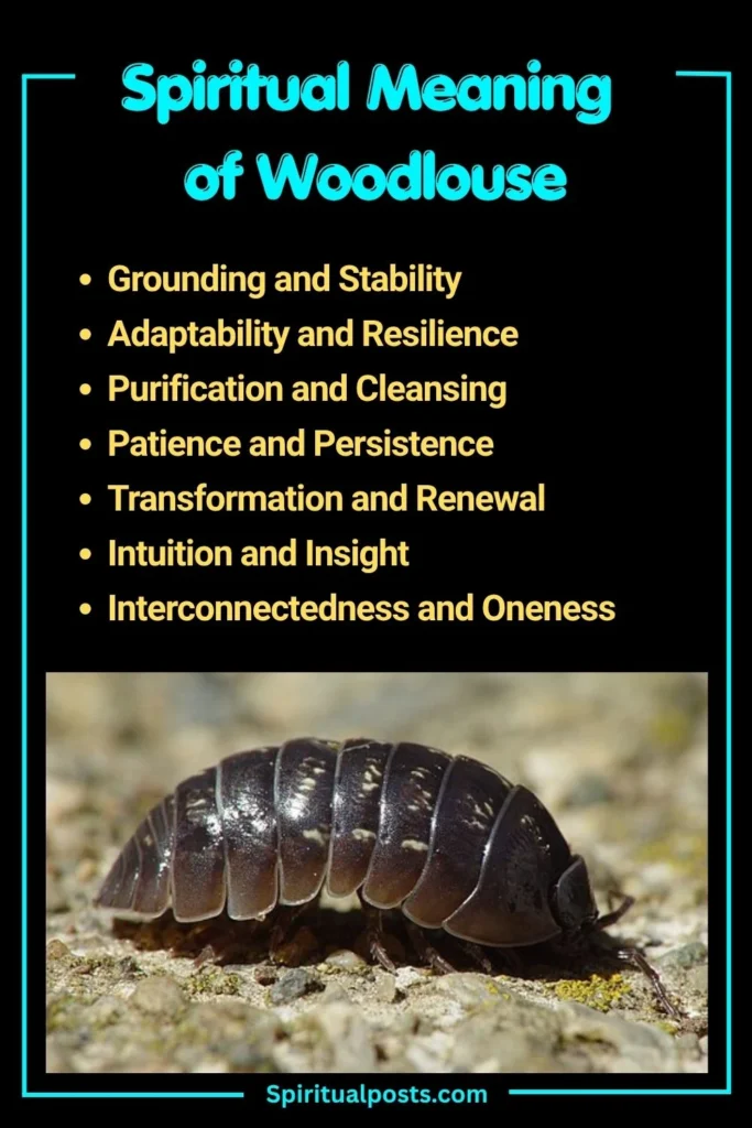 What Does Woodlouse Symbolize Spiritually