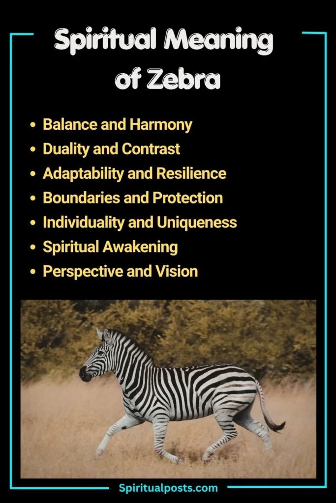 What Does Zebra Symbolize Spiritually