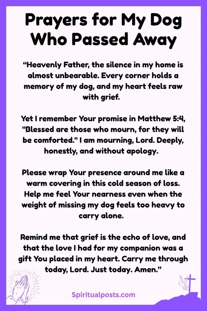 Powerful Prayers for My Dog Who Passed Away